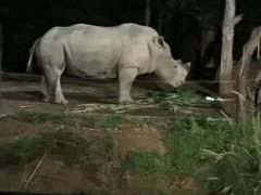 -清迈夜间动物园