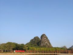 -南宁花花大世界景区