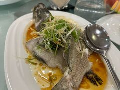 -顺峰(阜成店)