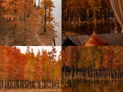 -白鹭湾湿地公园