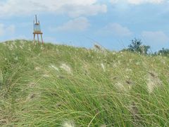 -白鹭湾湿地公园