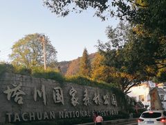 -塔川景区