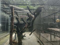 -欢乐海岸海洋奇梦馆