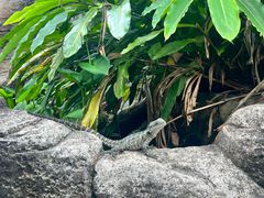-可伦宾野生动物保护区