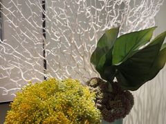 -浅深(世茂滨江精品店)