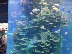 -泉城欧乐堡海洋极地世界