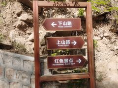 -大岭沟猕猴桃谷风景区