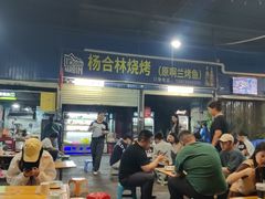 -杨合林啊兰烤鱼