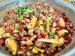 -食神又名厕所兔