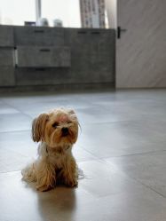 -Pink You美甲洗眉纹绣定制中心