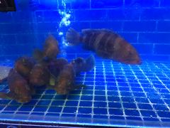 -简家·海鲜盛宴(下沙店)