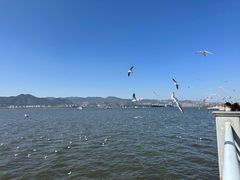 -海埂大坝