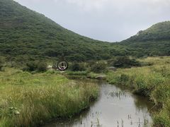 -大围山国家森林公园