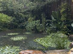 -南宁南湖公园