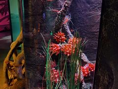 -沈阳海洋探索中心