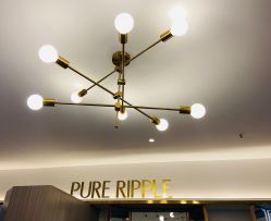 -净漪造型 PURE RIPPLE