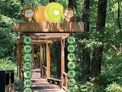 -大岭沟猕猴桃谷风景区