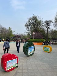-酷酷兔少儿拓展天地
