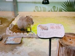 -太阳岛度假酒店