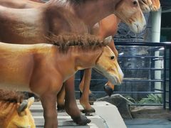-吉林省自然博物馆