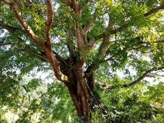 -七仙岭温泉国家森林公园