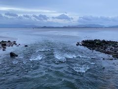-深圳湾公园(南山区)