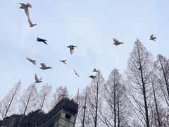 -音乐台