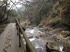 -东天目山风景区
