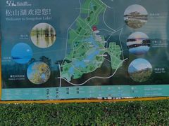 -松山湖南湖湾露营营地