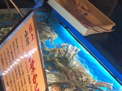 -蟹道乐(網元別館店)