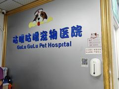 -咕噜咕噜宠物医院·CT·肿瘤科·骨科(前海院)