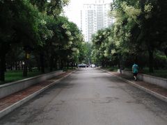 -中央民族大学