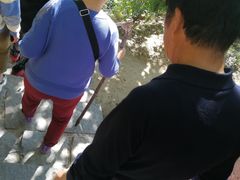 景点-天津盘山风景名胜区