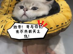 -派联宠物医院·24h·CT·异宠