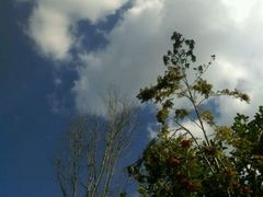 picture-金石唐风国际温泉会馆