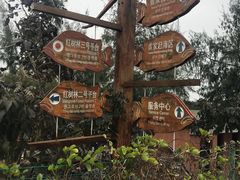 -北海金海湾红树林生态旅游区