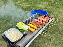 -栖露营camping·天幕烧烤·团建拓展·采摘营地