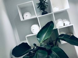-紫御国际抗衰ZOE ANTI AGING