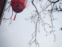 -广东温泉宾馆