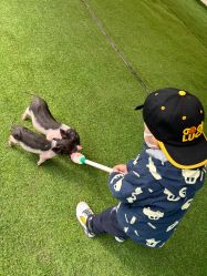 -萌宠亲子动物乐园(槐房万达店)