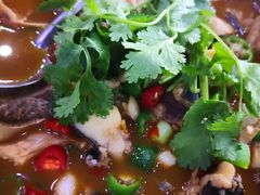 -全乐鱼馆·淳牌有机鱼直营店