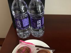 -天目湖御水温泉·度假酒店