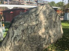 -唐城墙遗址公园