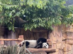 -泉州海丝野生动物世界