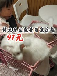 -萌兔星空蹦床撸兔馆