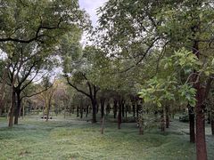 -嘉北郊野公园