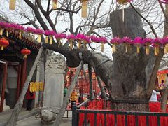 -西海子公园