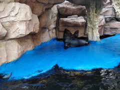 -华夏文旅海洋公园