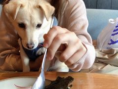 -THE CANNERY&JUJU 新鲜海鲜·牛排美食酒廊