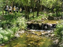 -玉渡山自然风景区